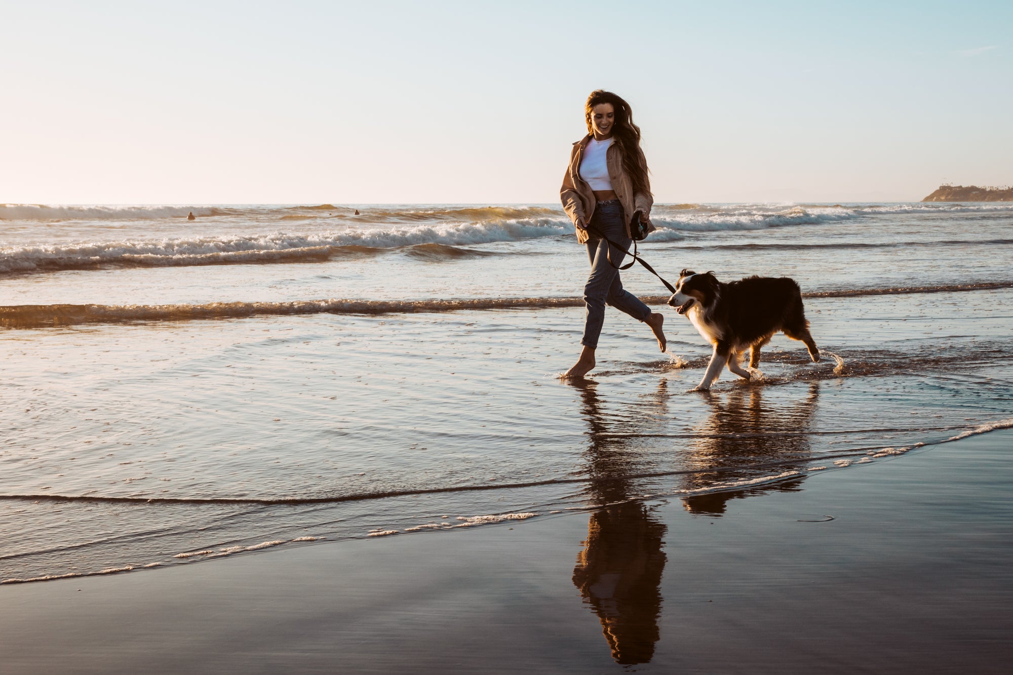 PAWsome Adventures: 5 Dog-Friendly Walks to Explore in San Diego
