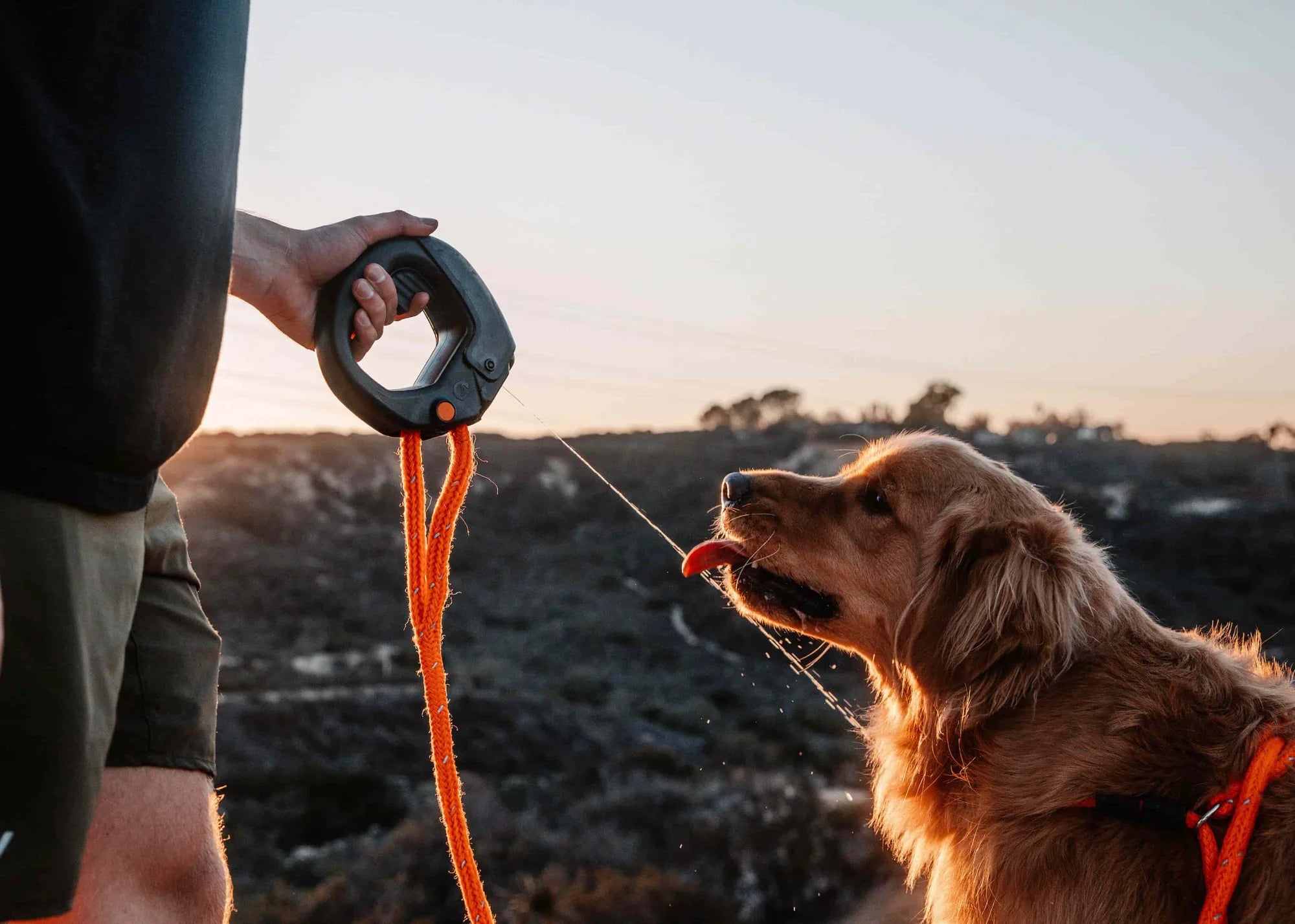The Latest Trends in Portable Dog Water Bottles Technology